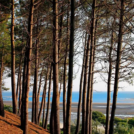 Arcachon, 2 Pièces, 3 Personnes - Fr-1-420-109 * Arcachon