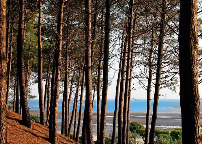 Centre, T2 De 47m², 200m Plage, Loggia, Parking, Ideal Couple - Fr-1-420-109 * Arcachon