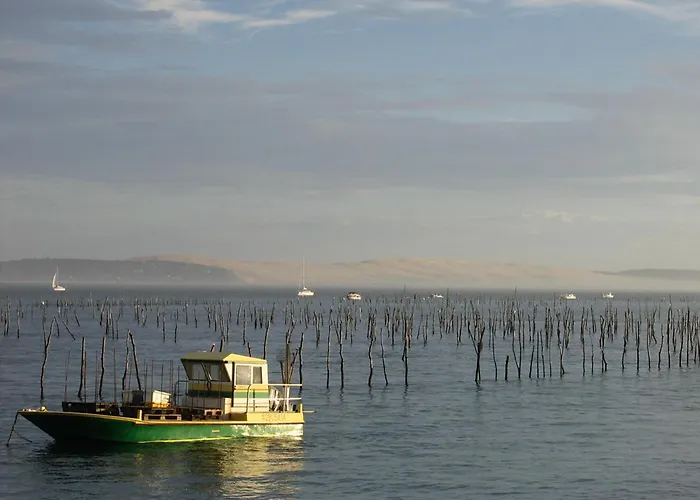 Centre, T2 De 47m², 200m Plage, Loggia, Parking, Ideal Couple - Fr-1-420-109 Arcachon